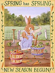 Bunny 1